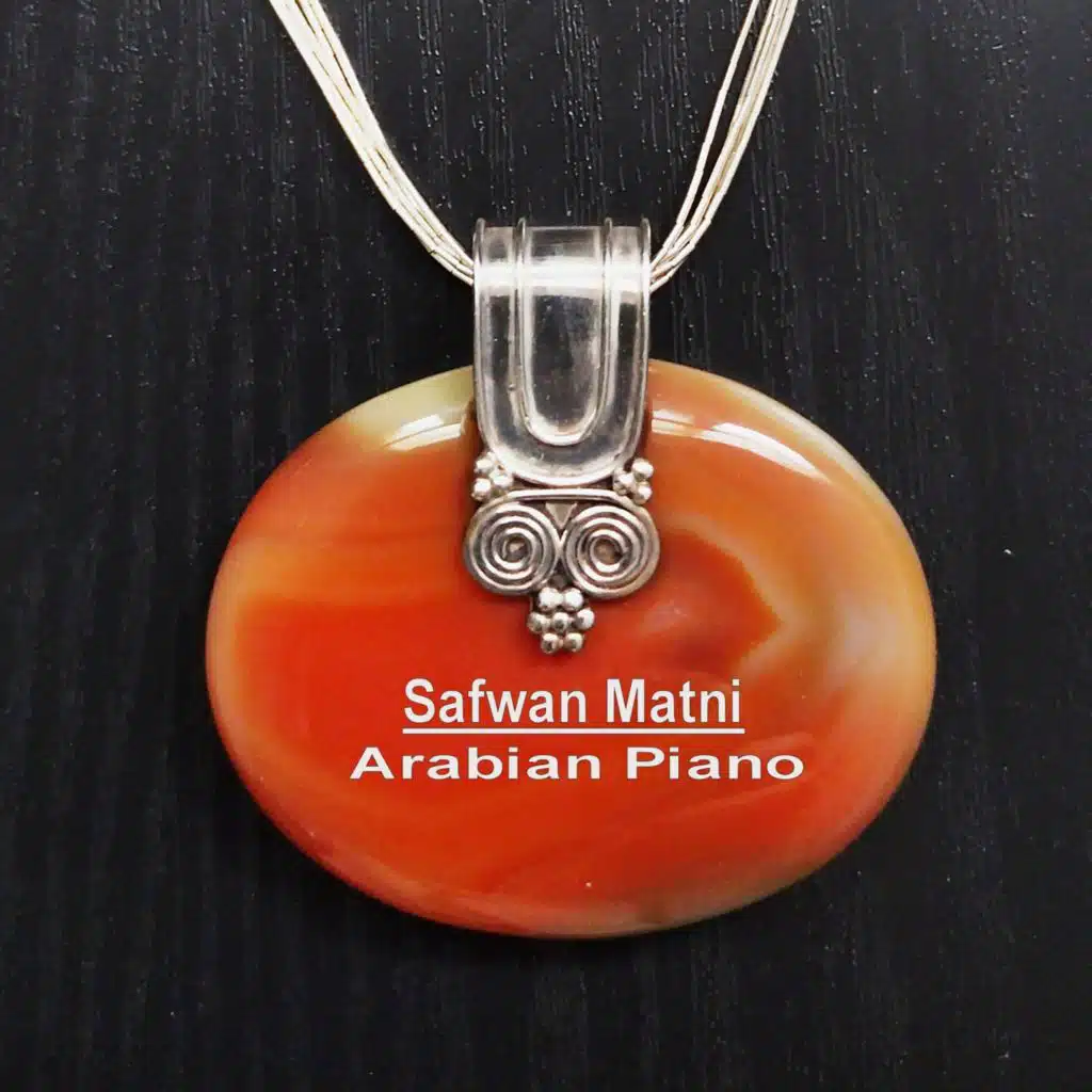 Safwan Matni