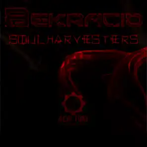 Soulharvesters