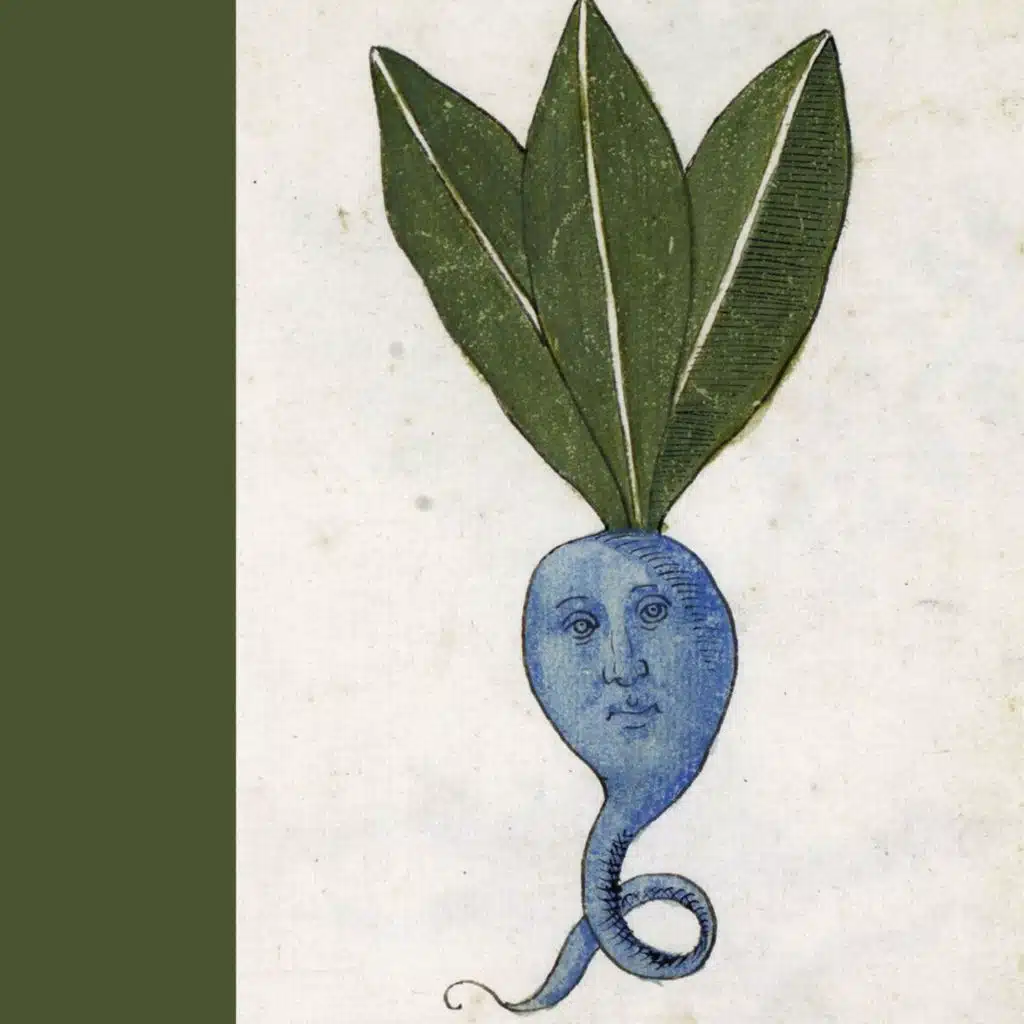 Oddish