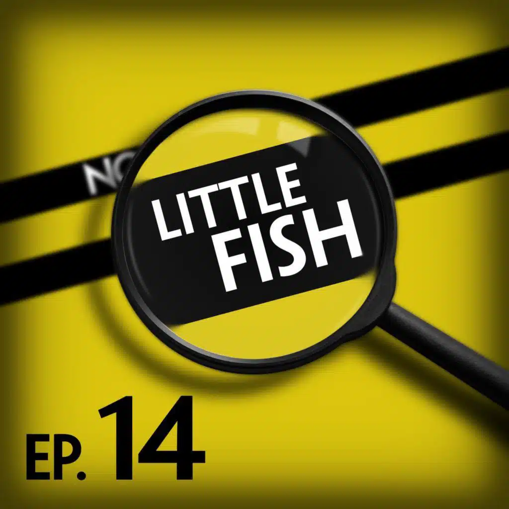Little Fish: Right Over Our Heads