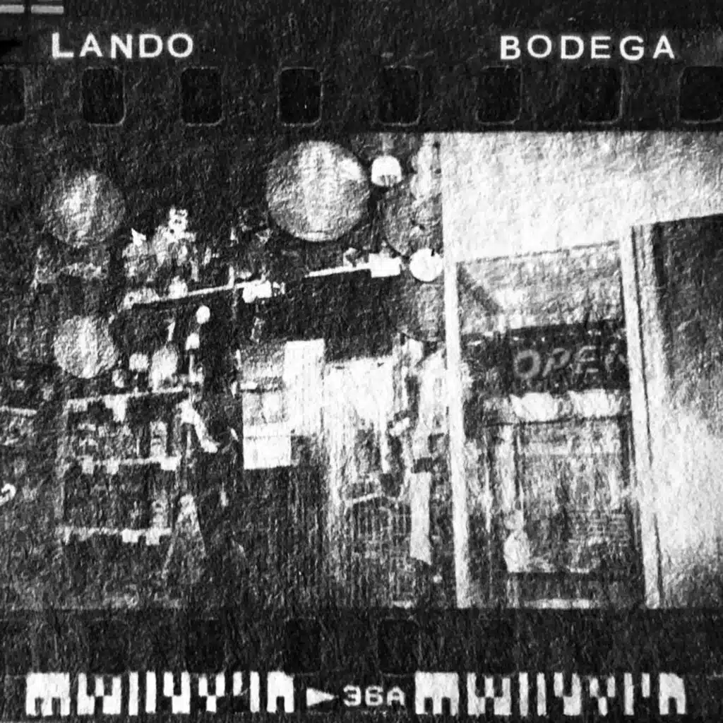 Bodega