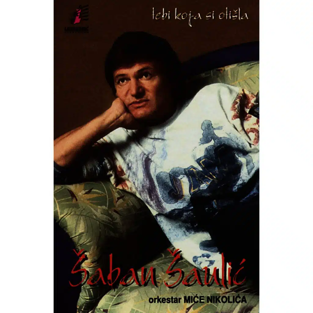 Ne Gledaj U Meni Pijanca I Slabica