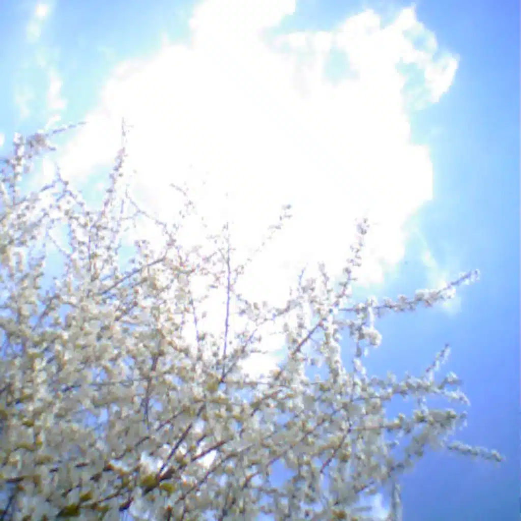 Коллекция старых синглов, Ч.17