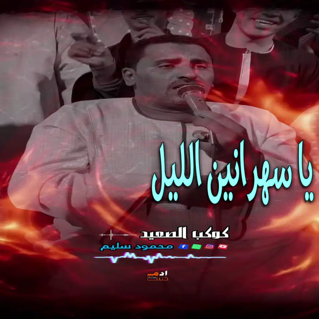 محمود سليم - كوكب الصعيد