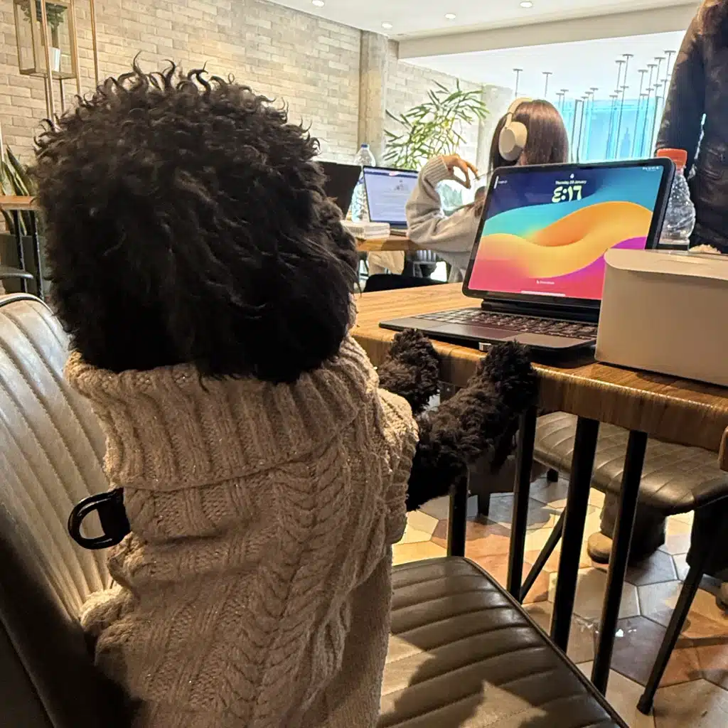 Farah is an artsy boy romanticizing struggle he never lived