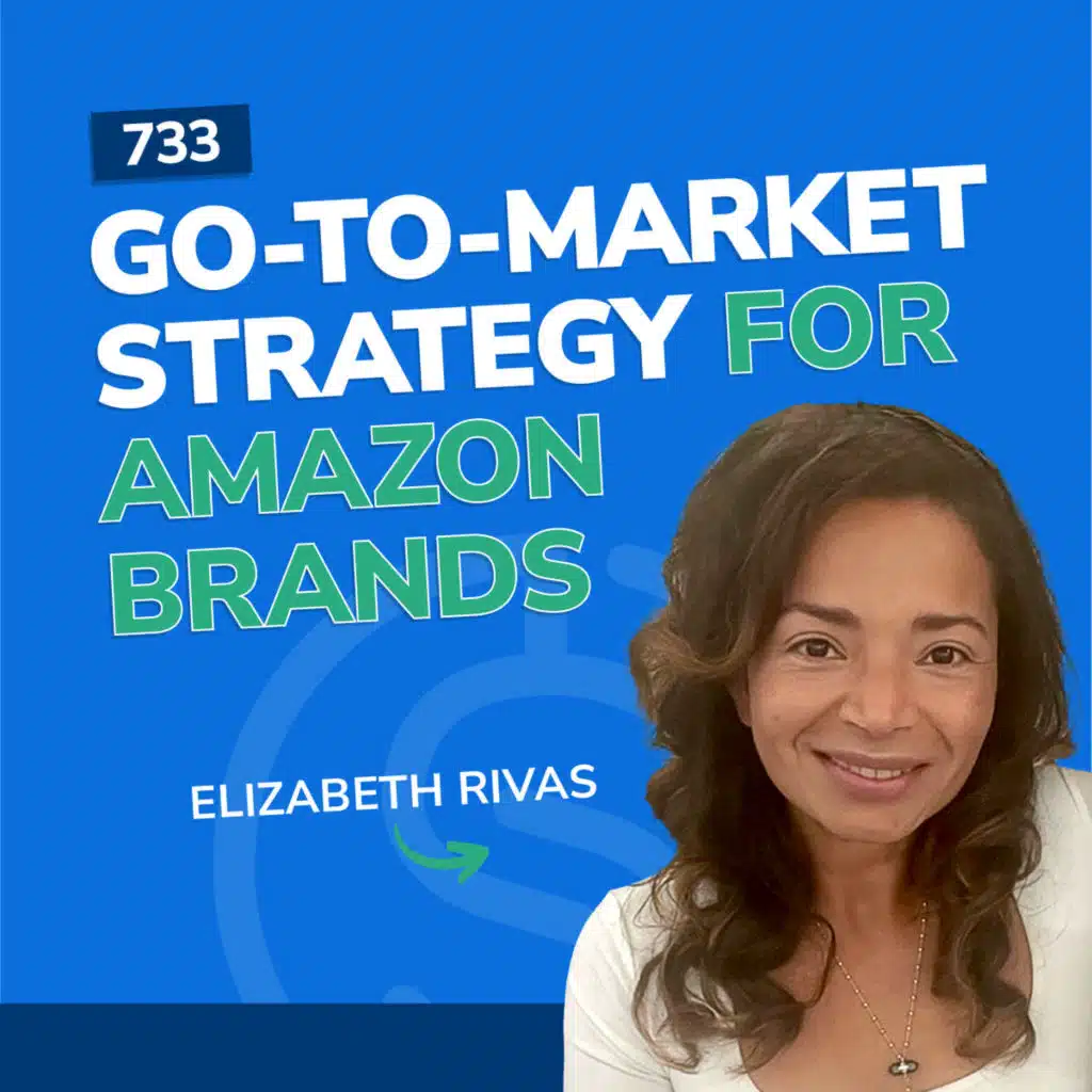#733 - Go-To-Market Strategy for Amazon Brands