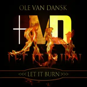 Let It Burn (Chris Delay Remix Edit)