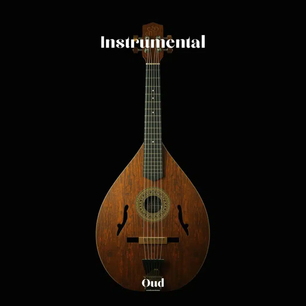 ذاكرة تئن ليلًا