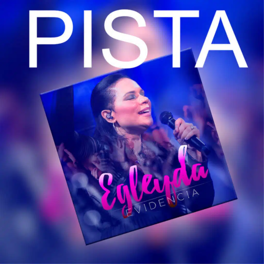 Evidencia Pista