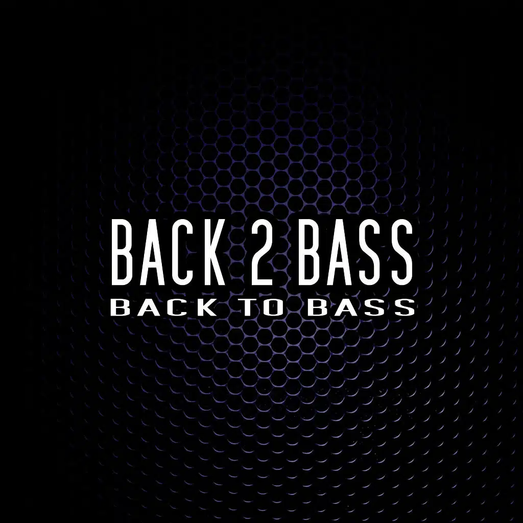 Back 2 Bass