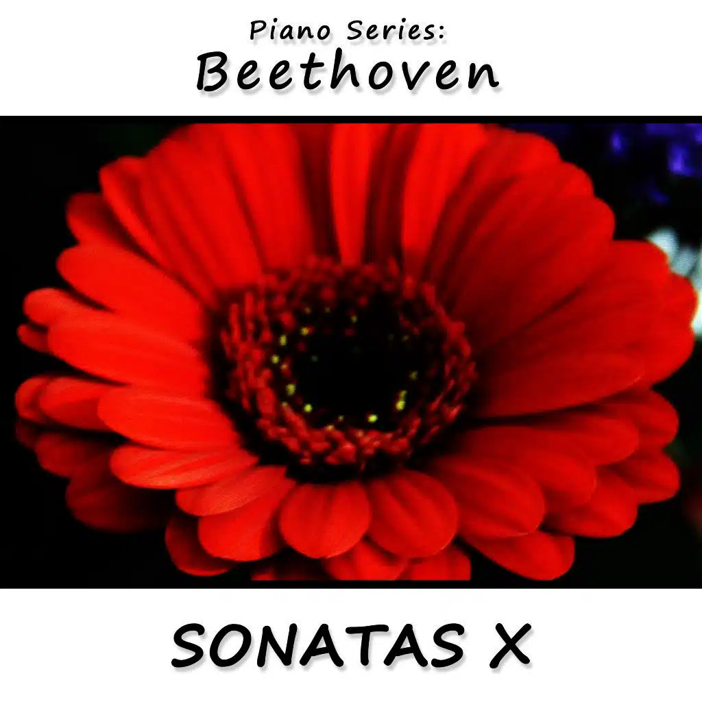 Piano Series: Beethoven