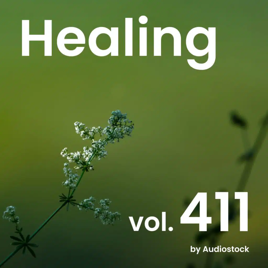 Healing, Vol. 411 -Instrumental BGM- by Audiostock