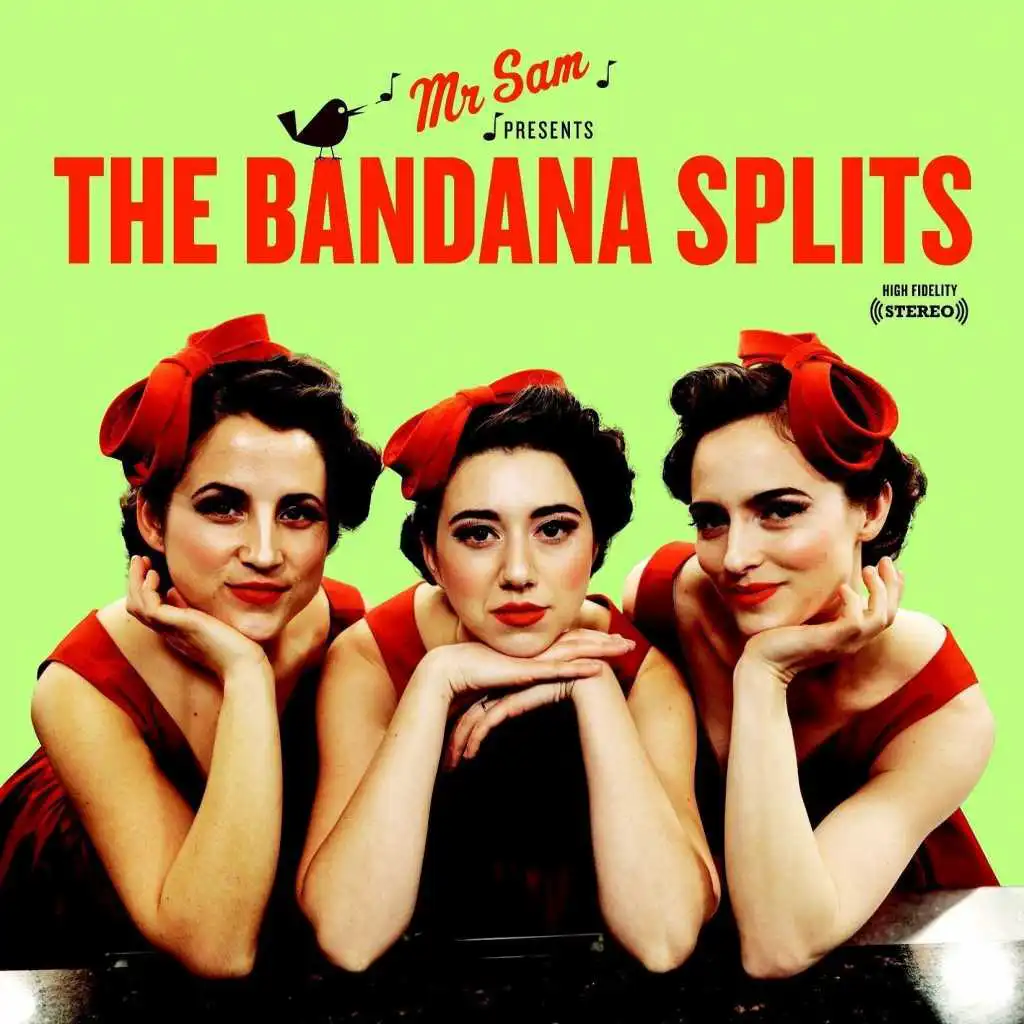 Mr Sam Presents The Bandana Splits