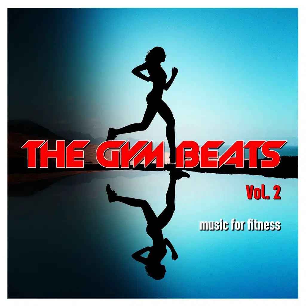 The Gym Beats, Vol. 2 (Nonstop-Megamix)