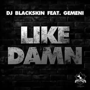 DJ Blackskin feat. Gemeni
