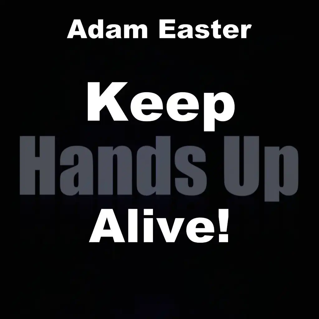 Keep Hands Up Alive! (Damn-R Remix Edit)