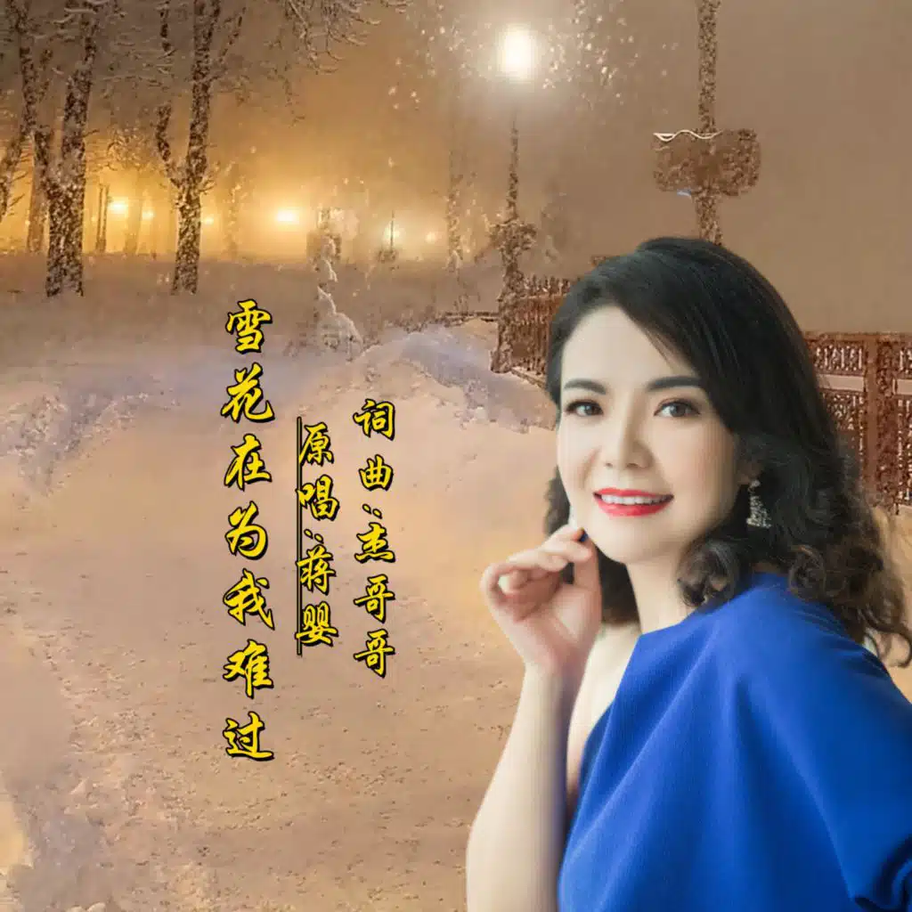 雪花在为我难过