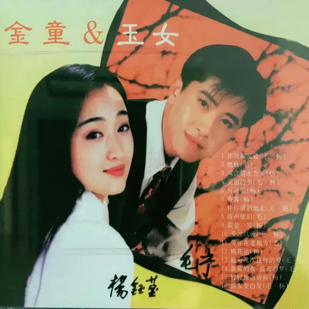 伴你潇洒的走 (伴奏)