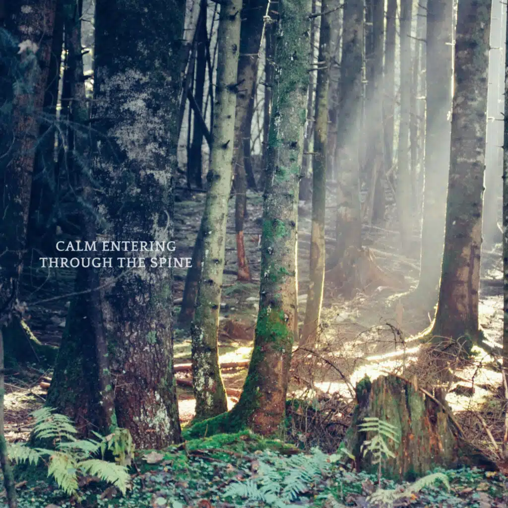 The Body Trusting Gravity