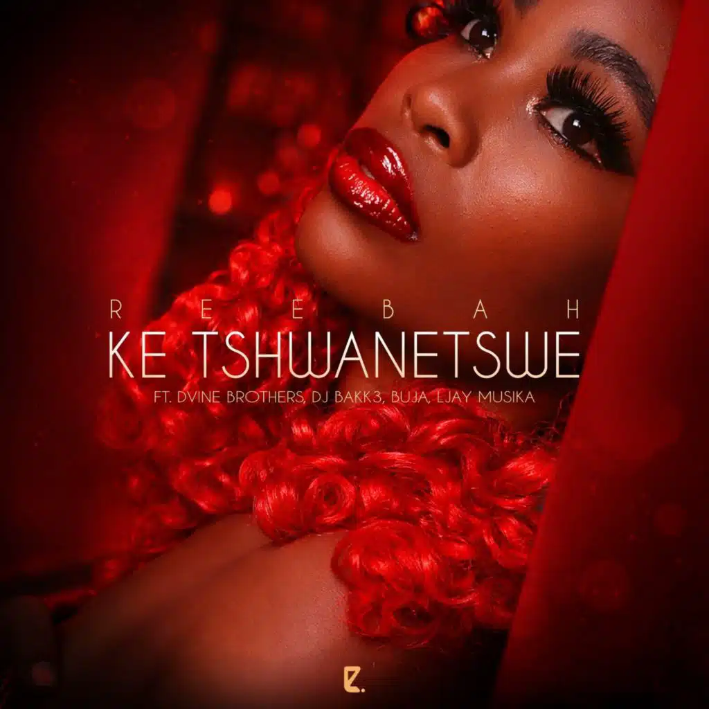 Ke Tshwanetswe (feat. Dvine Brothers, Dj Bakk3, Buja & Ljay Musika)