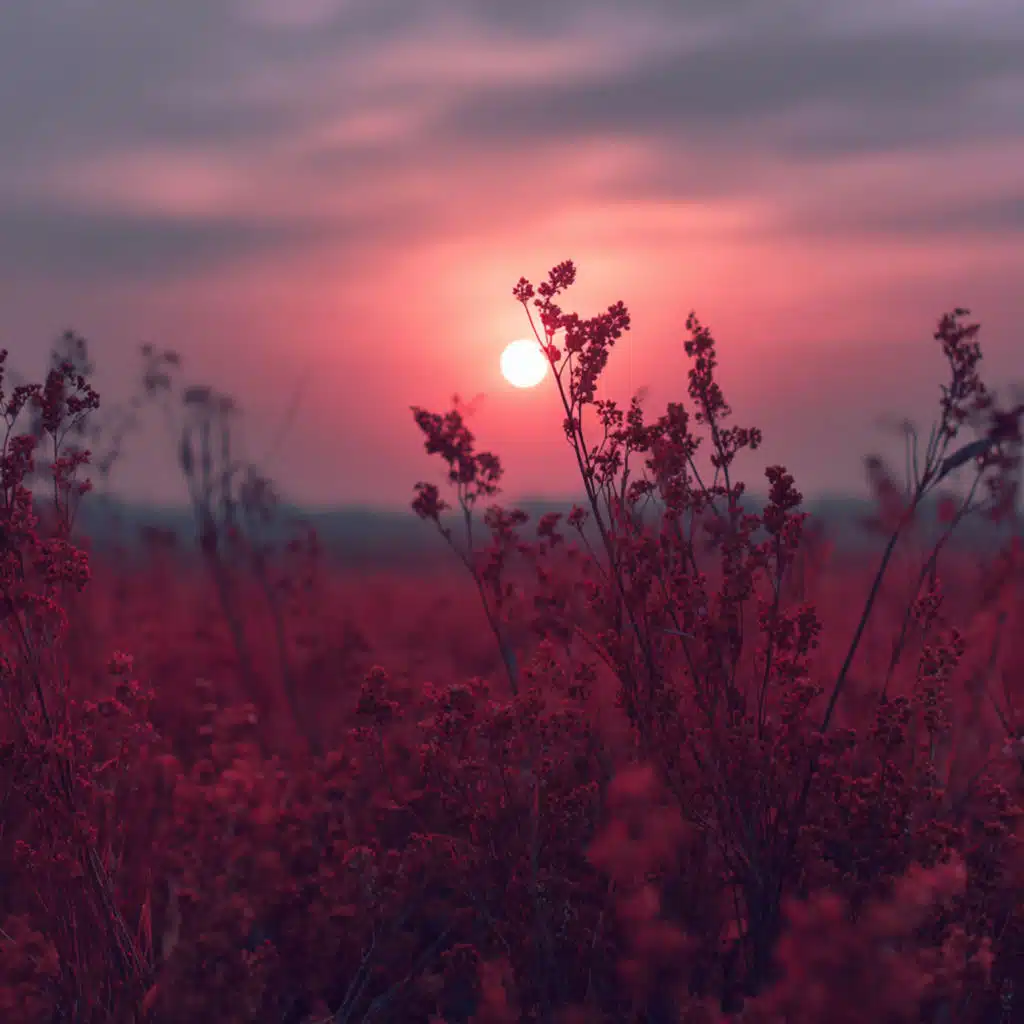 Oberohn, Akriva & Space Between Breaths