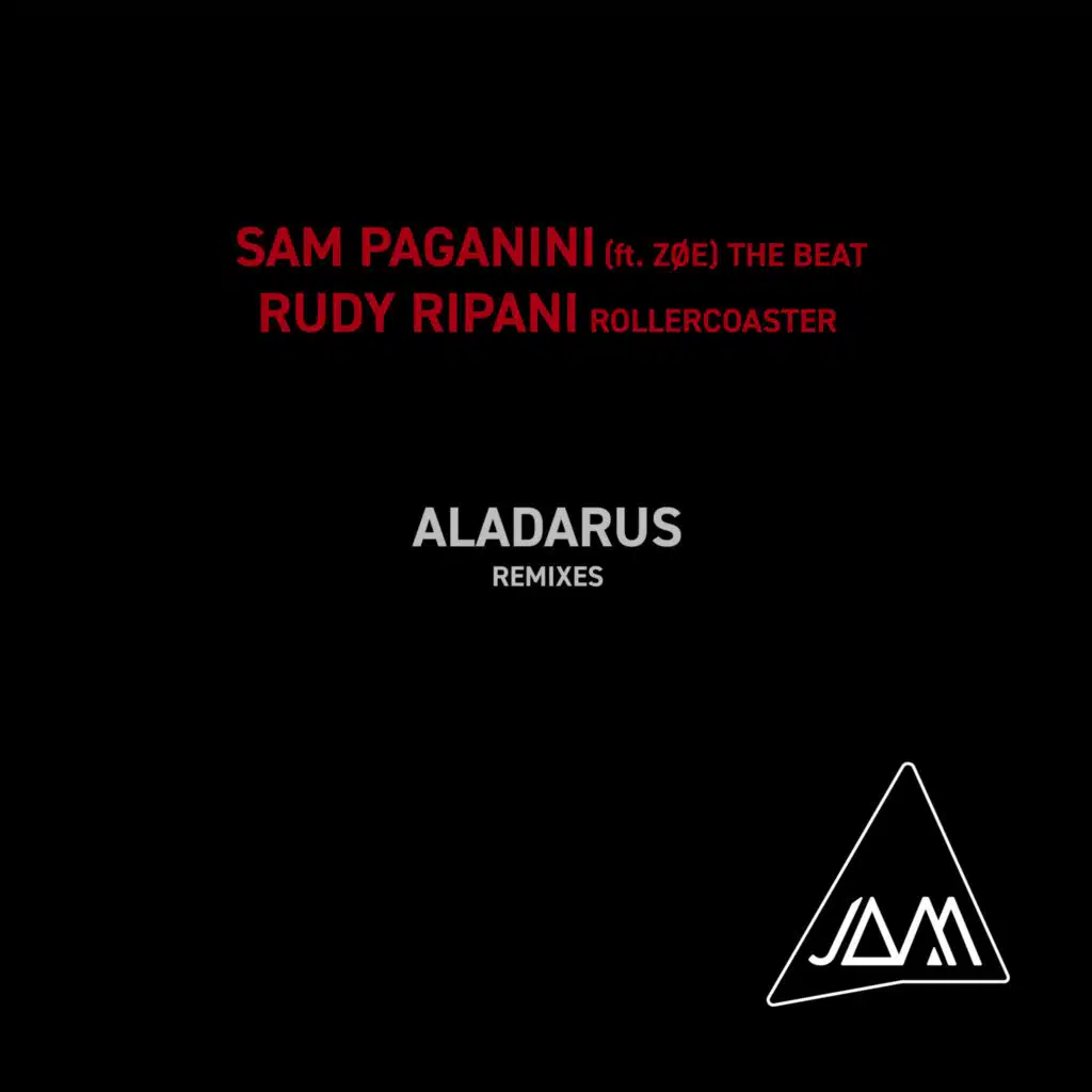 The Beat / Rollercoaster (Remixes) [feat. Zøe & Aladarus]