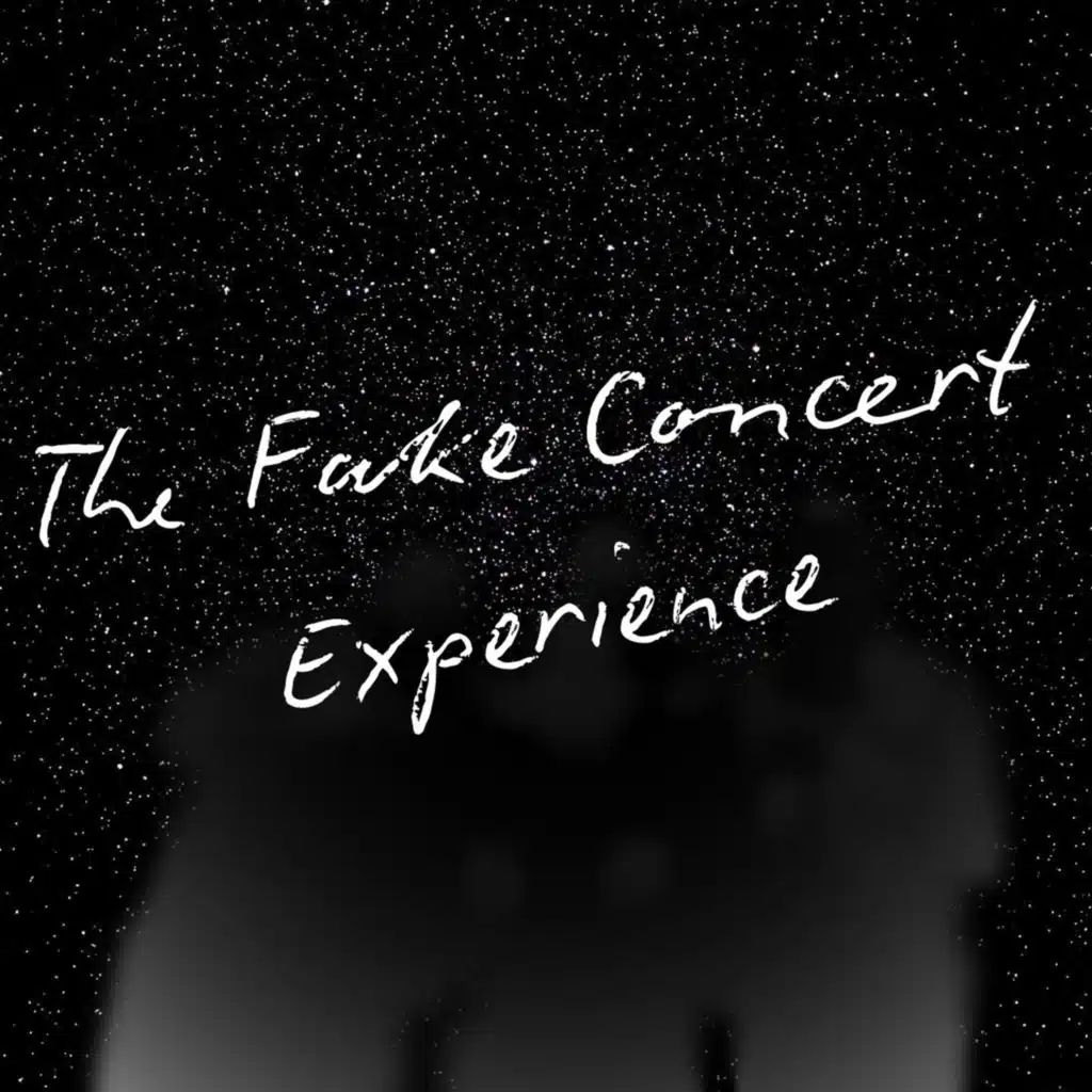 The Fake Concert Experience