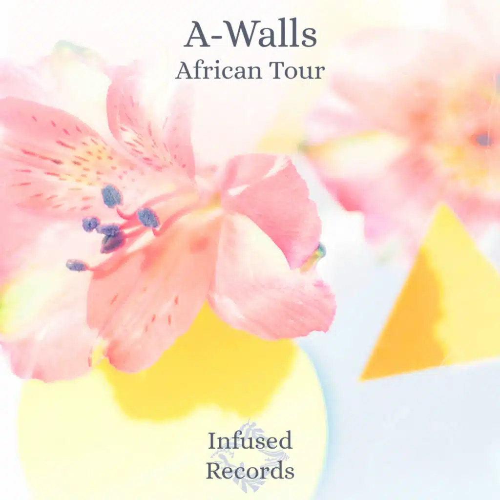 African Tour