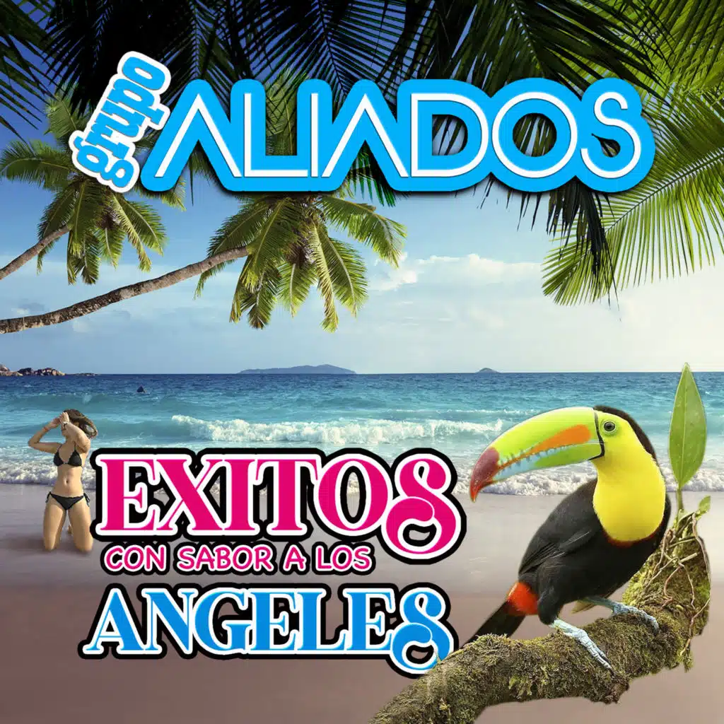 Grupo Aliados