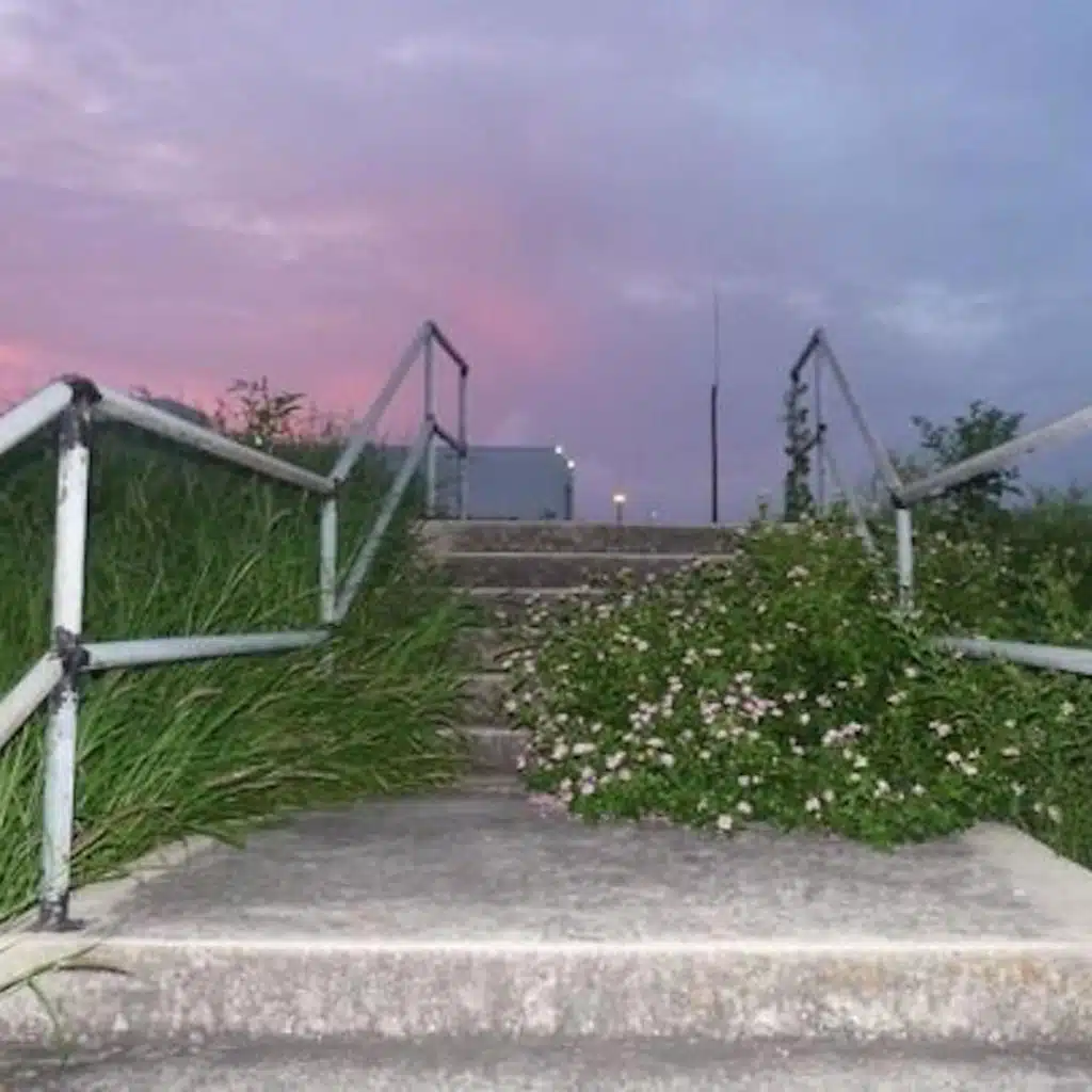 4ever / halflife