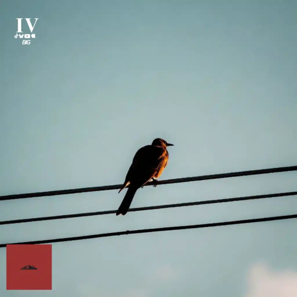 When There's Nowhere Else to Go | A Big IV Valentines Day Special