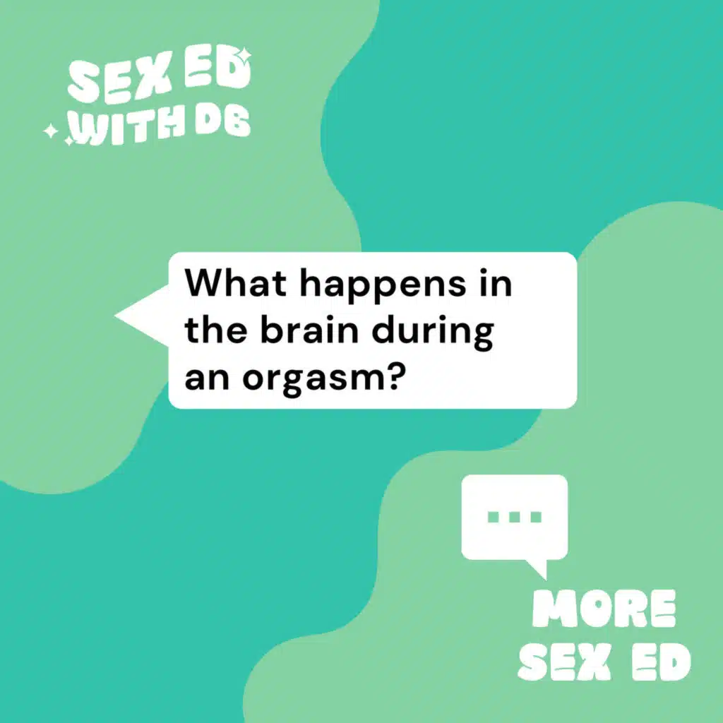 What happens in the brain during an orgasm?