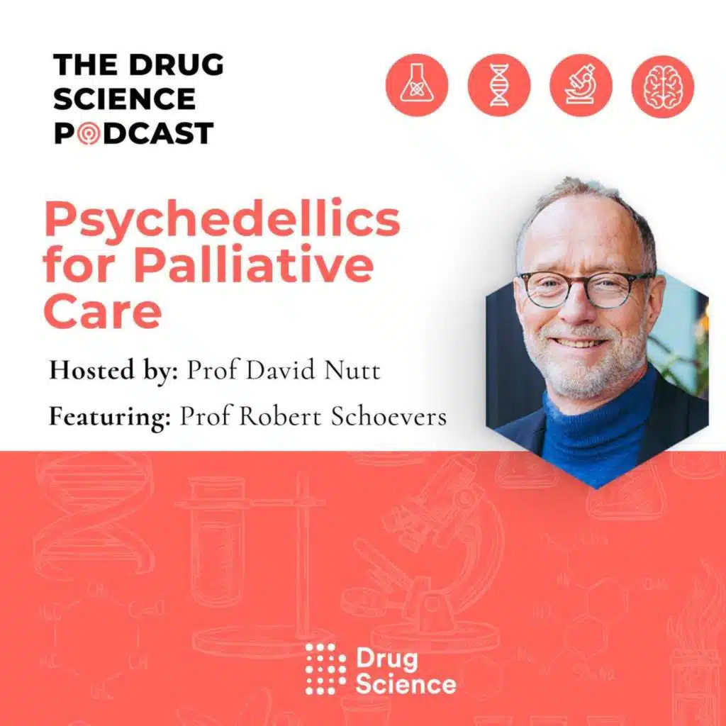 143. Psychedelics for Palliative care with Prof Robert Schoevers