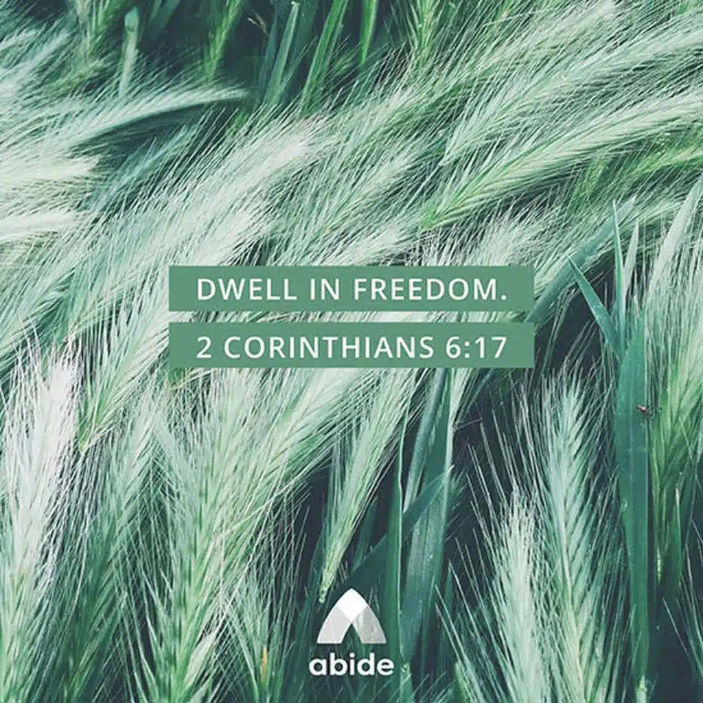 Choosing to Dwell in Freedom