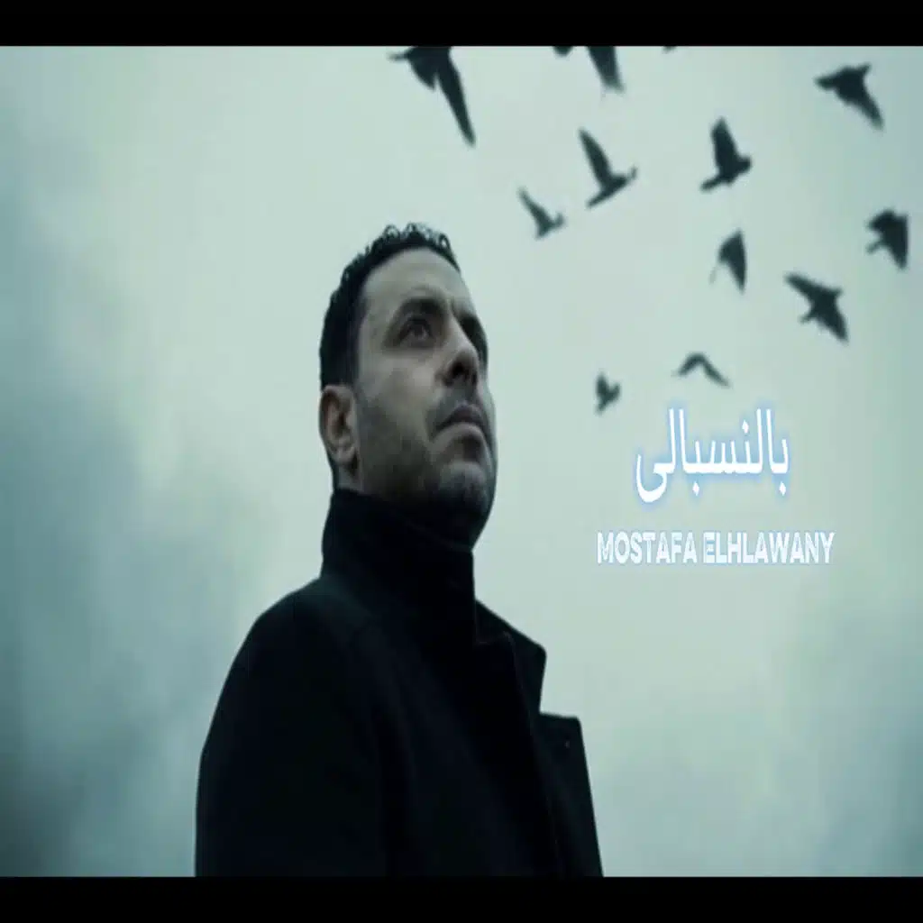 مصطفى الحلواني