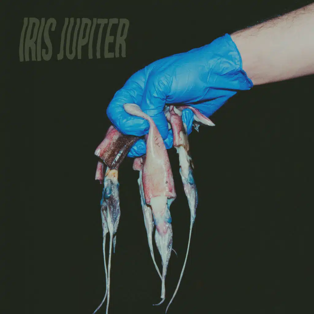 Iris Jupiter