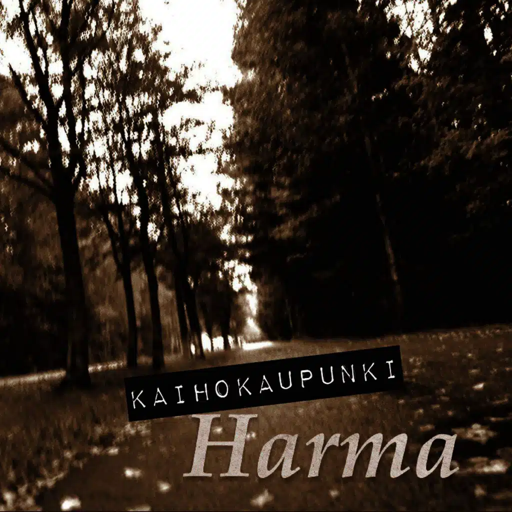 Kaihokaupunki