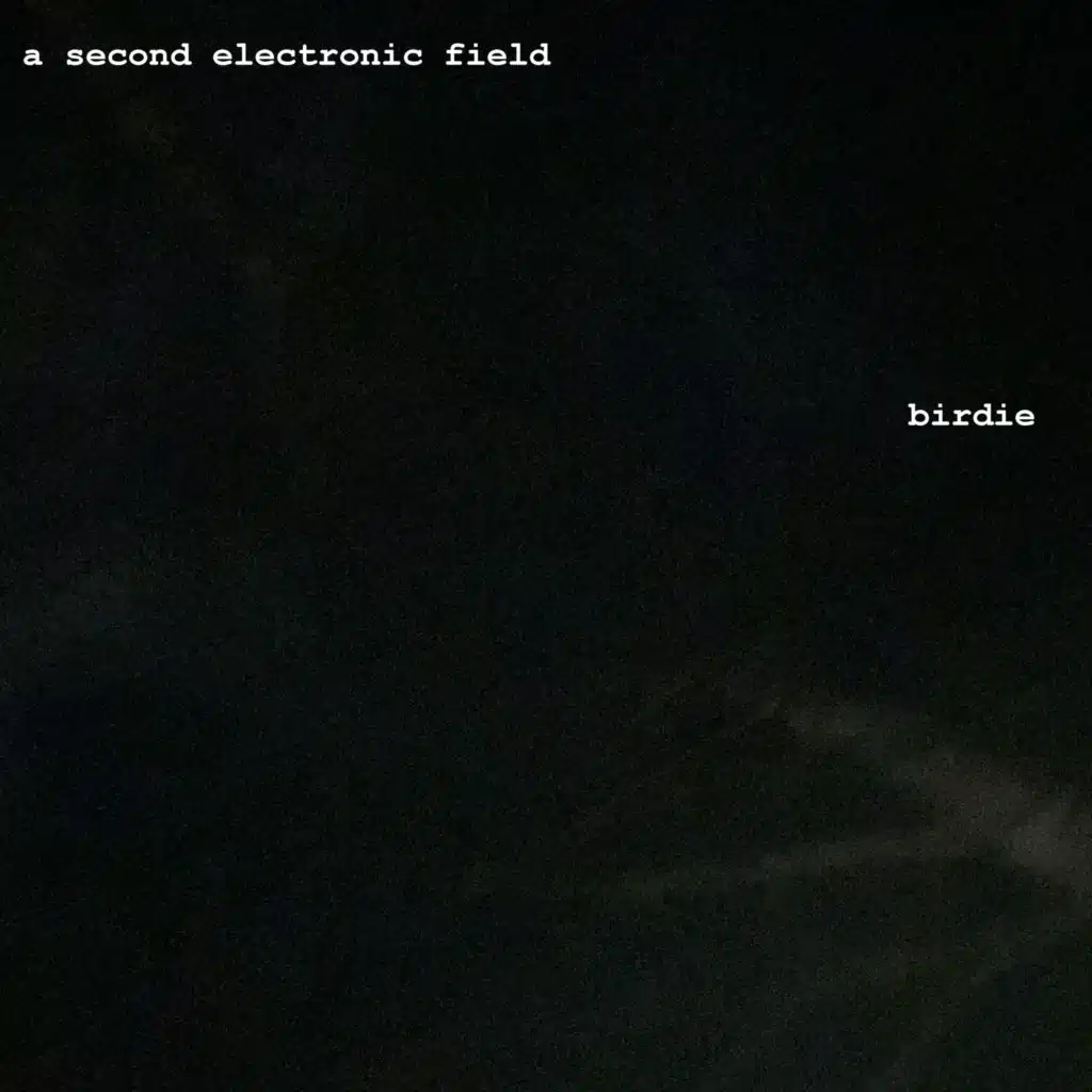 A Second Electronic Field