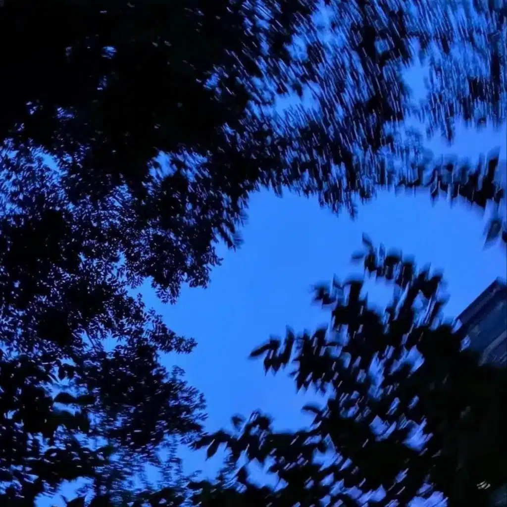 幻听 (Neo Soul版)