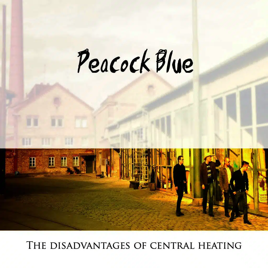 The Disadvantages of Central Heating
