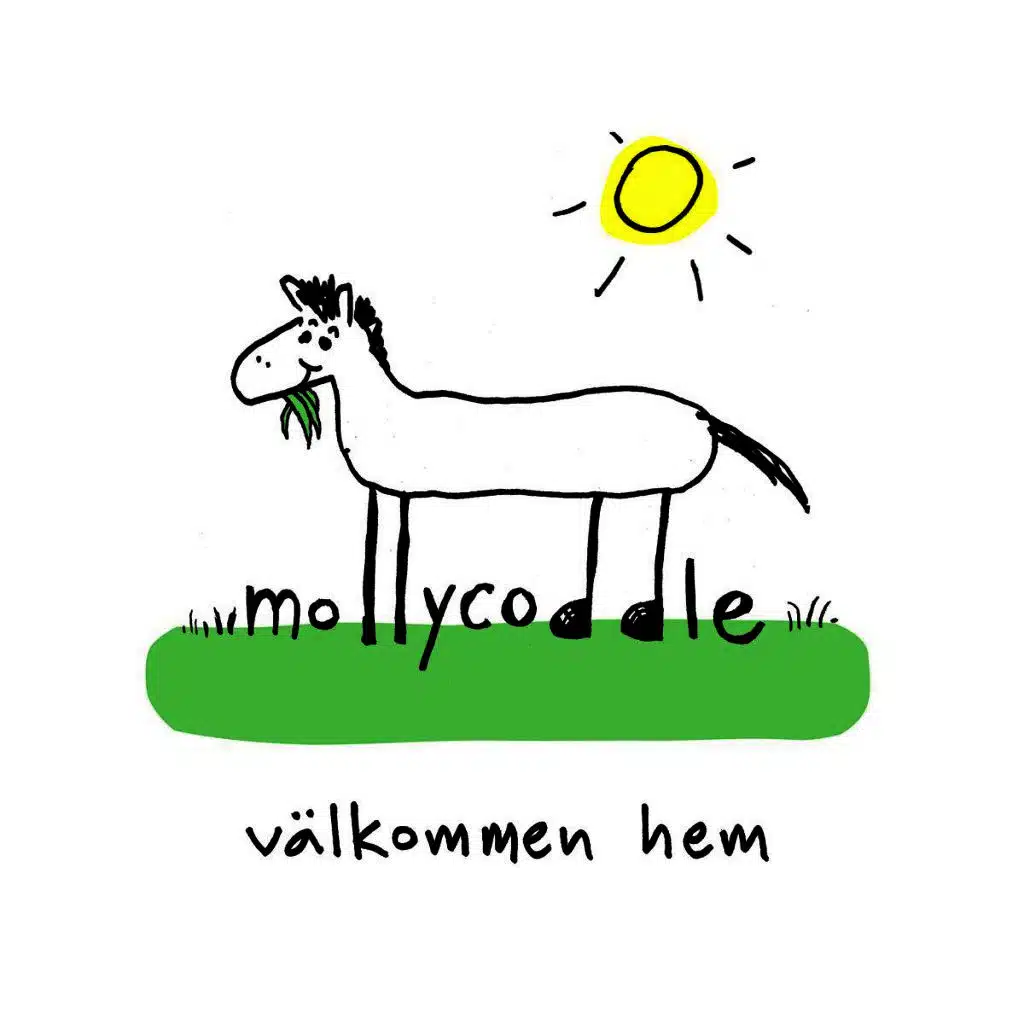 Välkommen hem