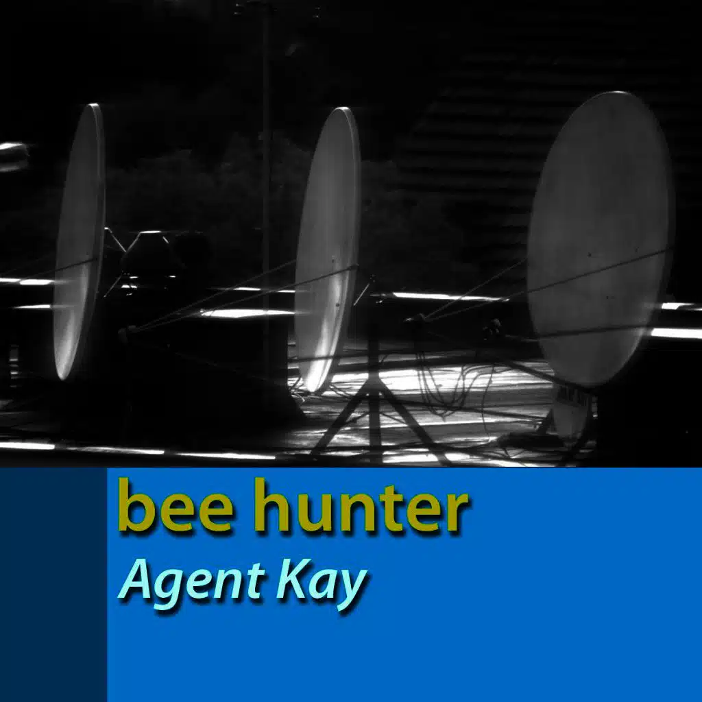Agent Kay