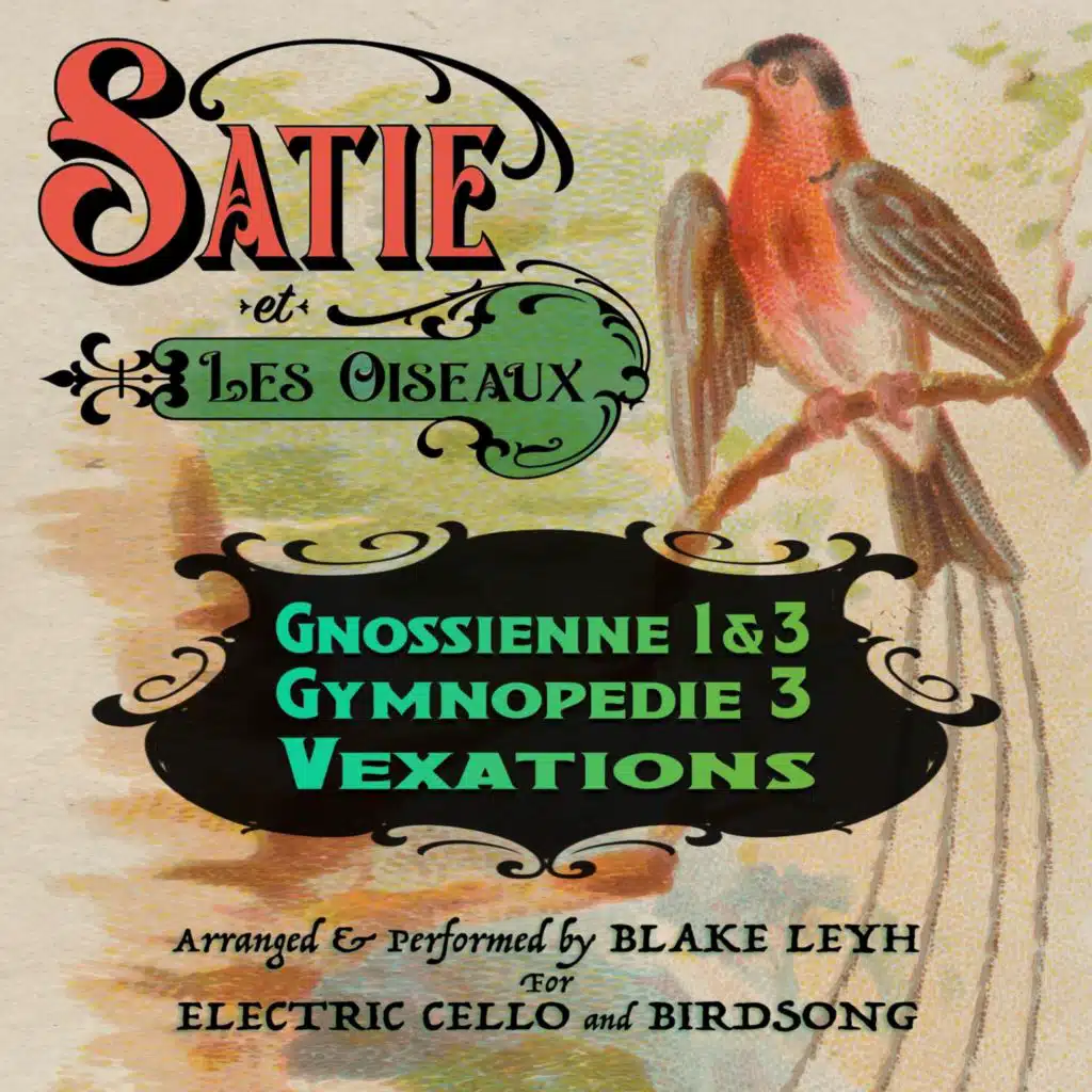 Satie Et Les Oiseaux