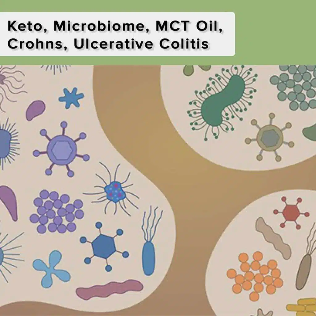 Keto, Microbiome, MCT Oil, Crohns, Ulcerative Colitis