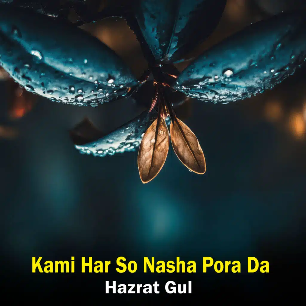 Kami Har So Nasha Pora Da