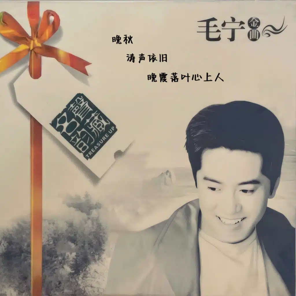 毛宁专辑