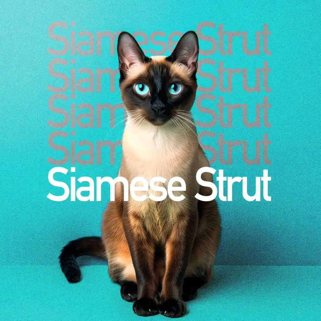 Siamese Strut