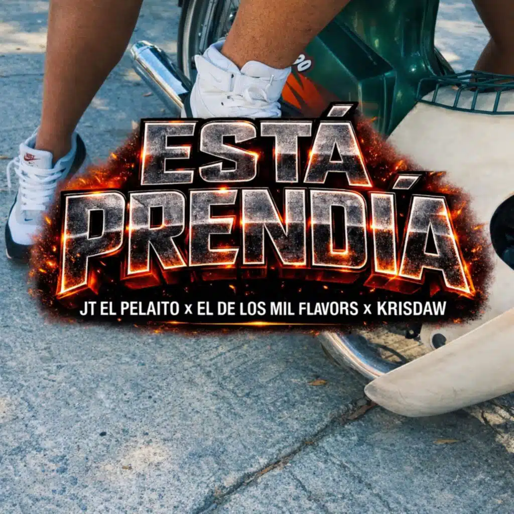 Jt El Pelaito