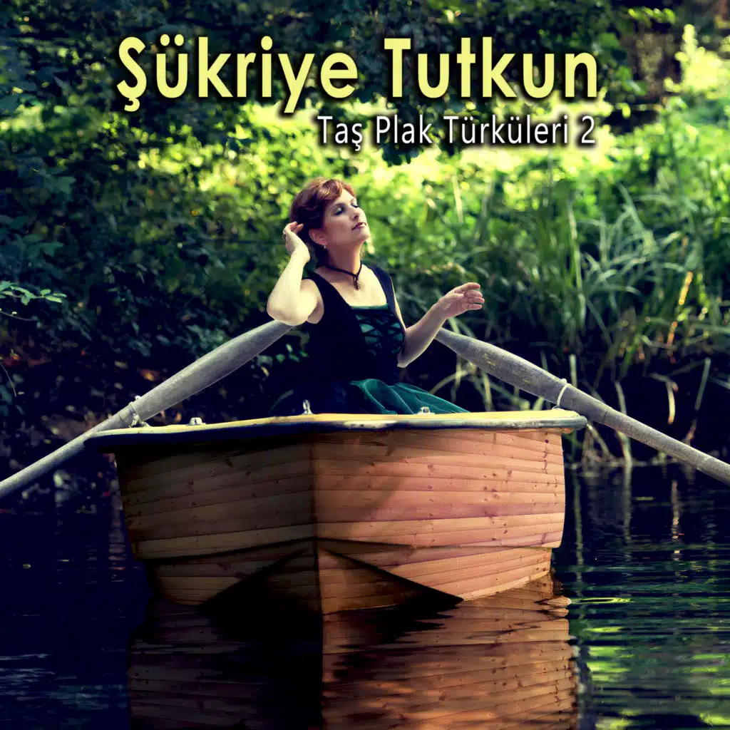 Taş Plak Türküleri, Vol. 2