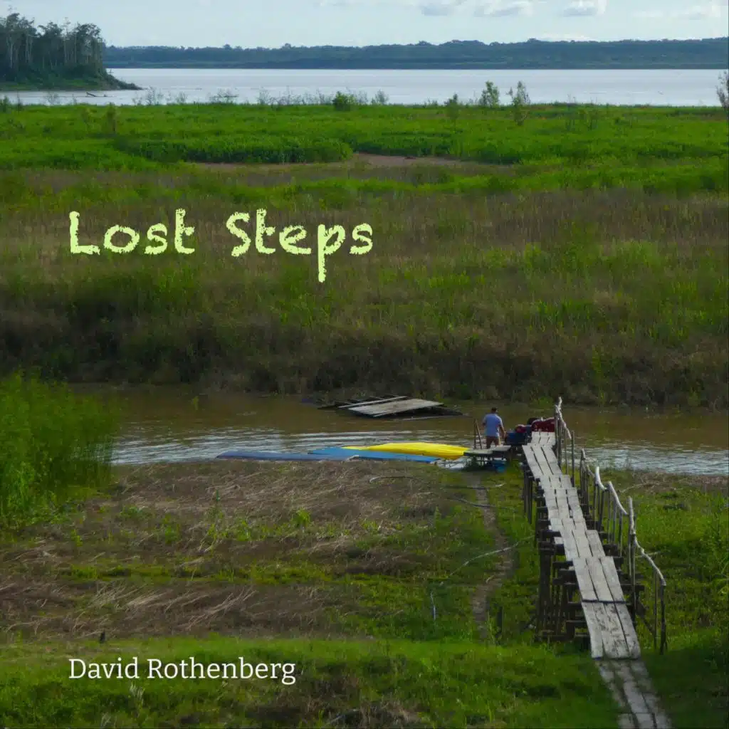 Lost Steps